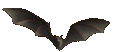 bat2.gif